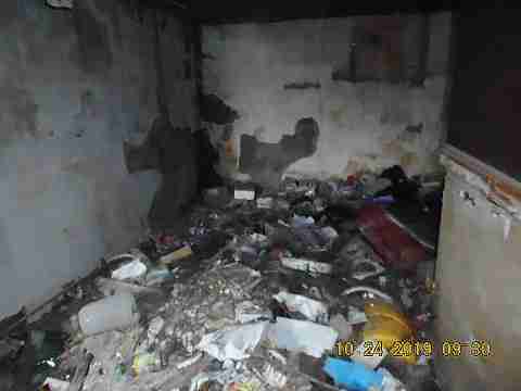 14858 Marlowe (12)_m.jpg